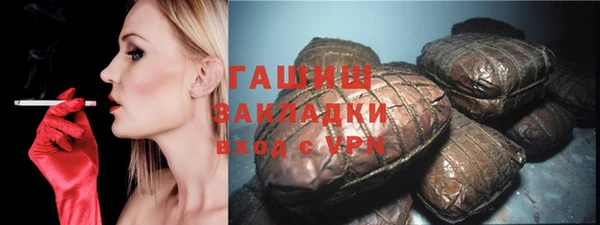 spice Дмитриев