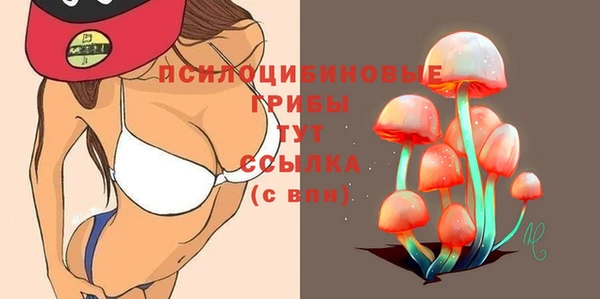 не бодяженный Дмитровск
