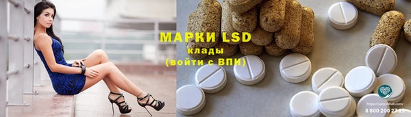 spice Дмитриев