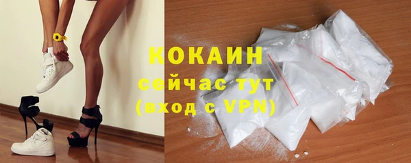 мдпв Дмитров
