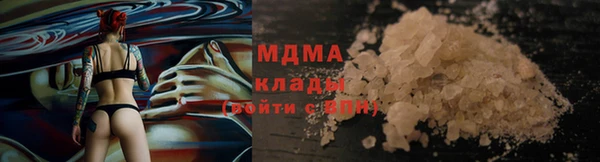 spice Дмитриев