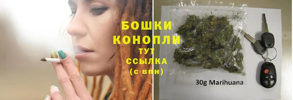 мдпв Дмитров