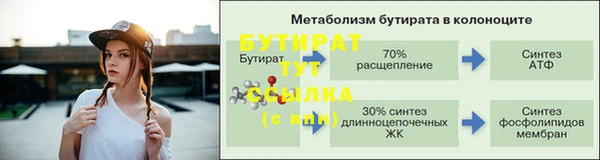 мдпв Дмитров