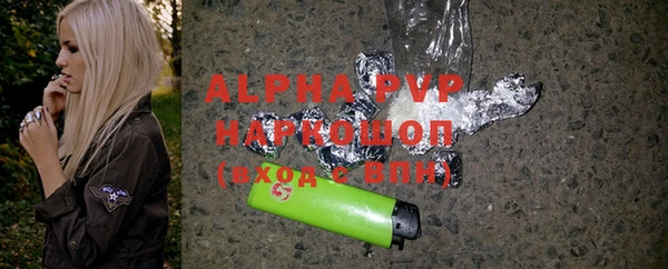 spice Дмитриев