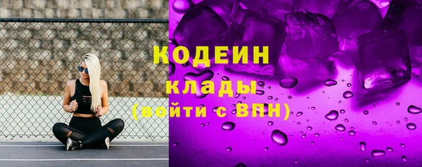 spice Дмитриев