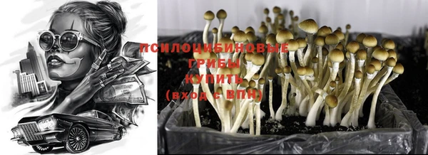 не бодяженный Дмитровск