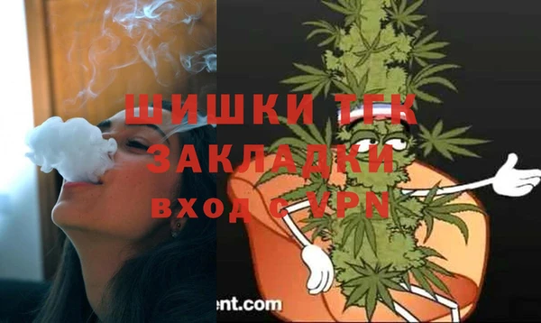 spice Дмитриев