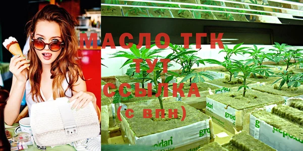 мдпв Дмитров