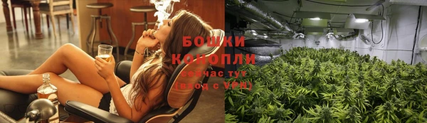 мдпв Дмитров