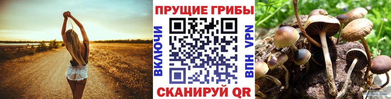 Галлюциногенные грибы Magic Shrooms  Димитровград 